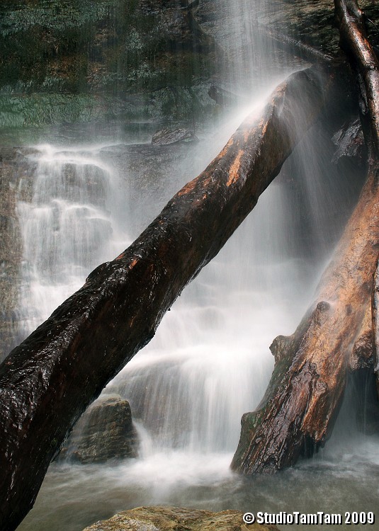 Cascata e tronco.jpg